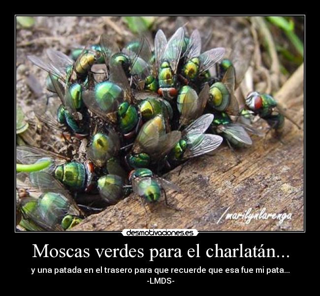 carteles renga desmotivaciones