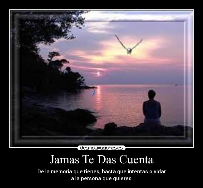 Jamas Te Das Cuenta - De la memoria que tienes, hasta que intentas olvidar
a la persona que quieres.