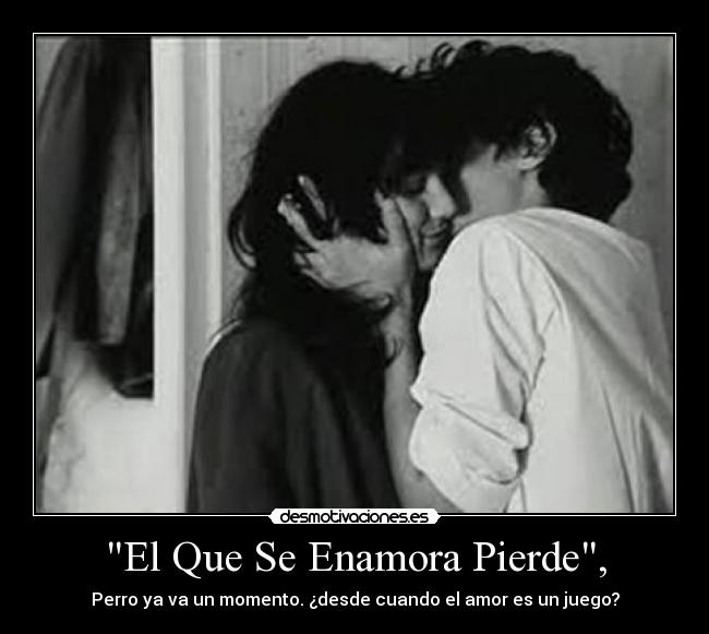 El Que Se Enamora Pierde, - Perro ya va un momento. ¿desde cuando el amor es un juego?