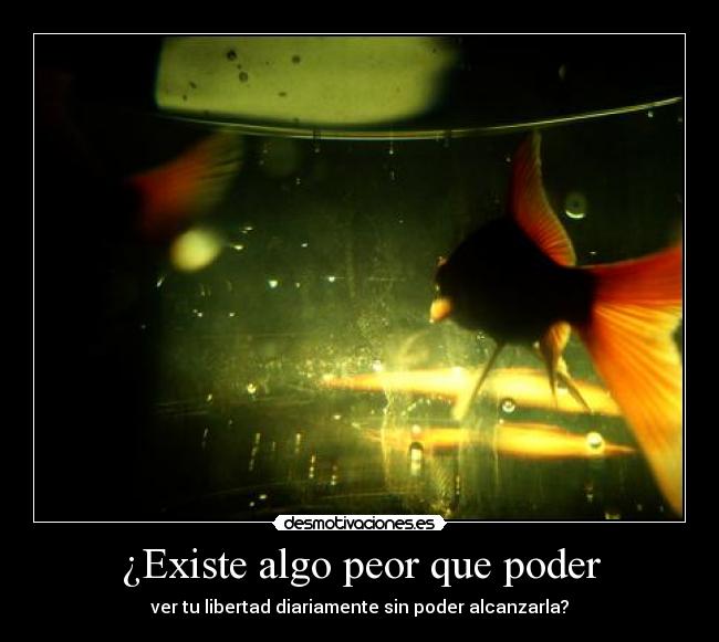 ¿Existe algo peor que poder - ver tu libertad diariamente sin poder alcanzarla?