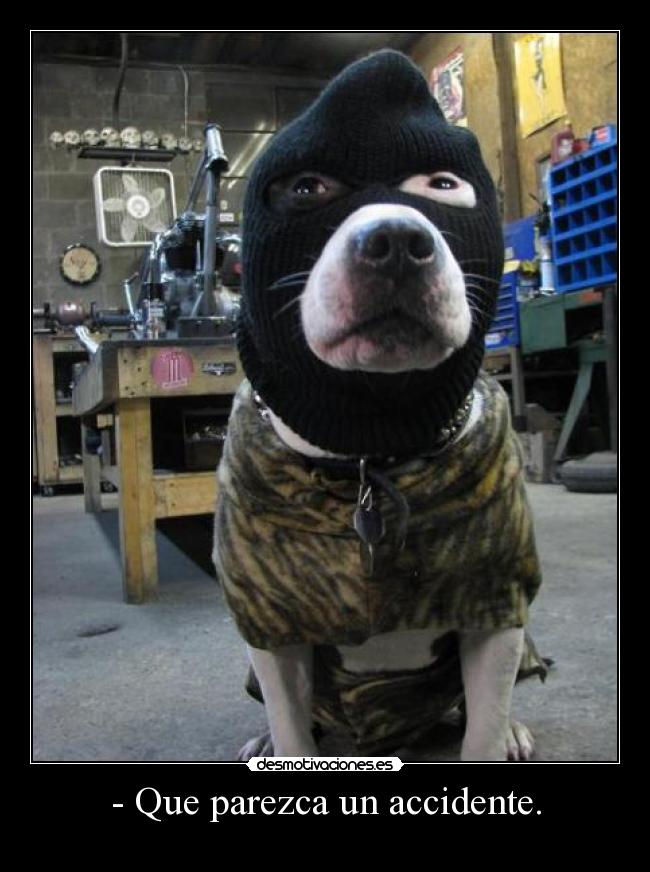 - Que parezca un accidente. - 