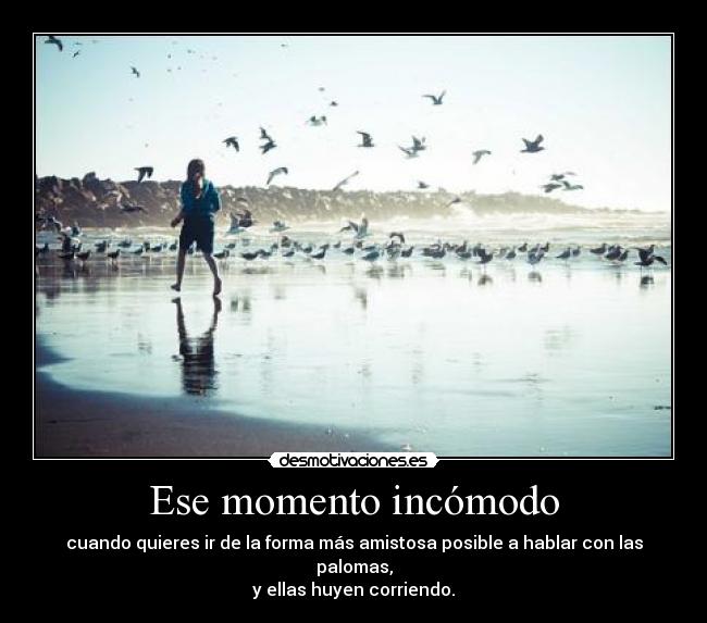 Ese momento incómodo - cuando quieres ir de la forma más amistosa posible a hablar con las palomas,
y ellas huyen corriendo.