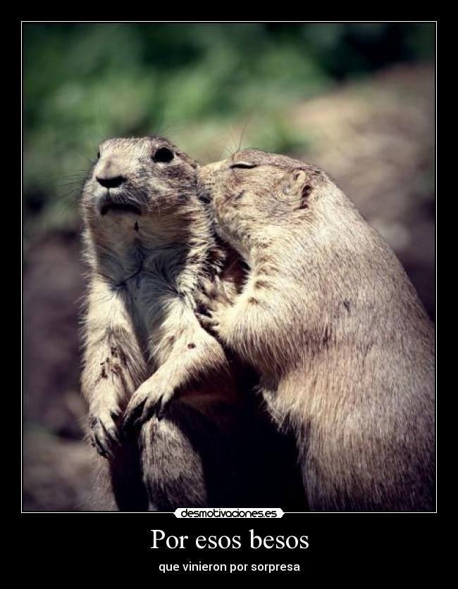 Por esos besos - 