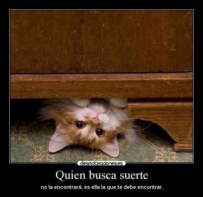 Quien busca suerte - 