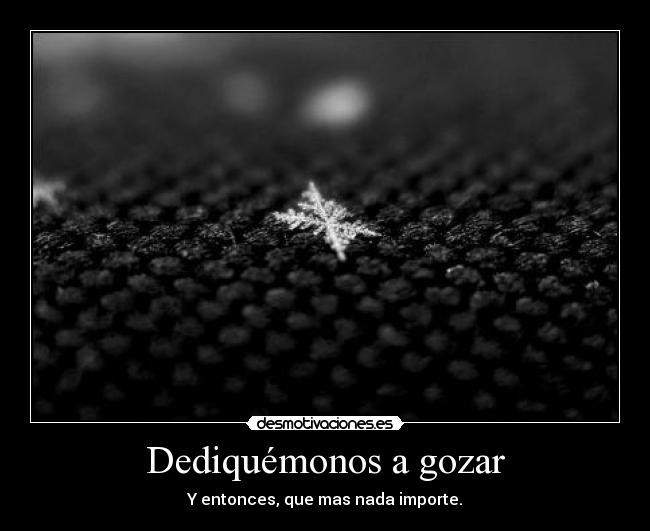 Dediquémonos a gozar - 