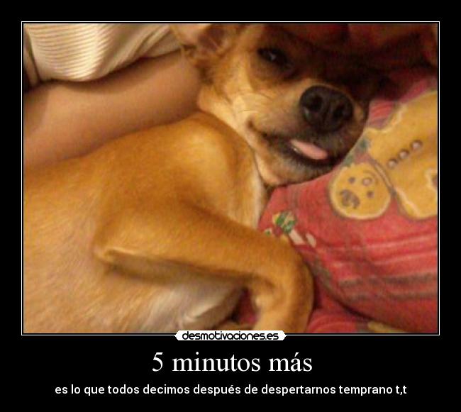 5 minutos más -