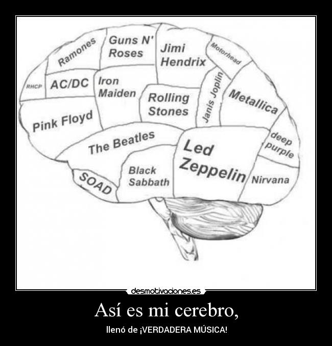 Así es mi cerebro, -