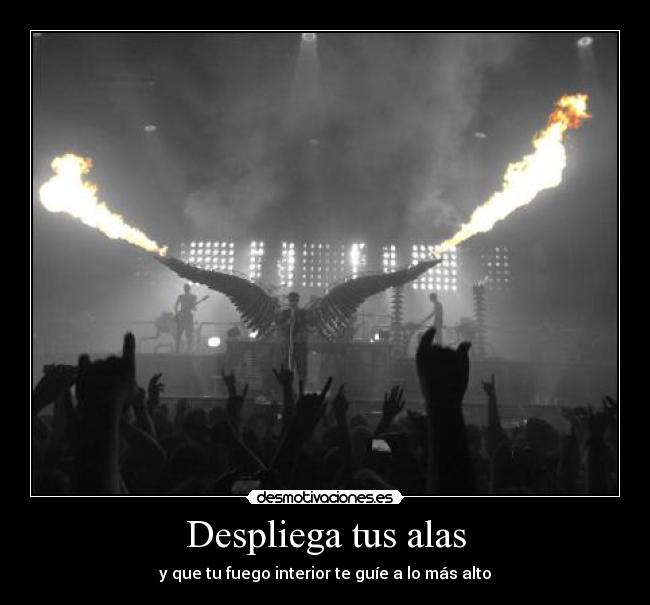 Despliega tus alas - 