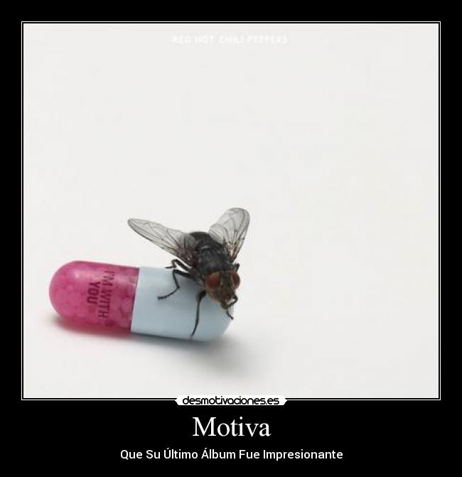 Motiva - Que Su Último Álbum Fue Impresionante