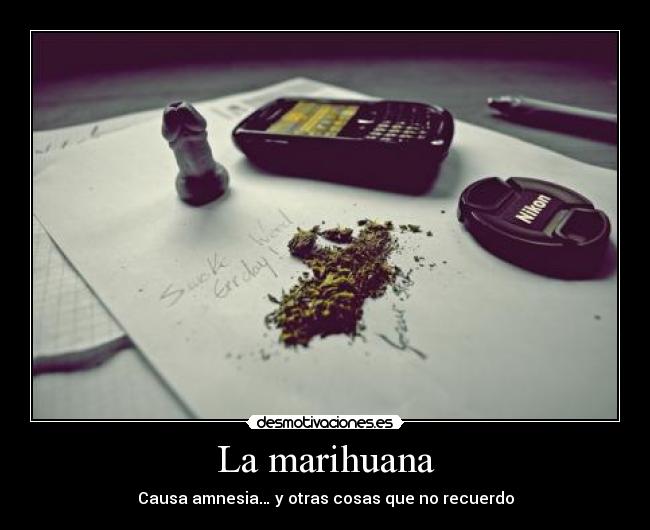 La marihuana - Causa amnesia… y otras cosas que no recuerdo