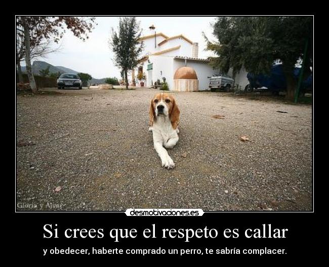 Si crees que el respeto es callar - y obedecer, haberte comprado un perro, te sabría complacer.