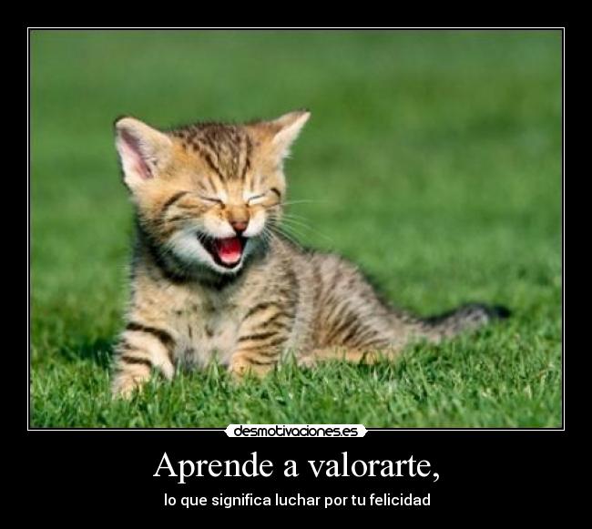 Aprende a valorarte, - lo que significa luchar por tu felicidad