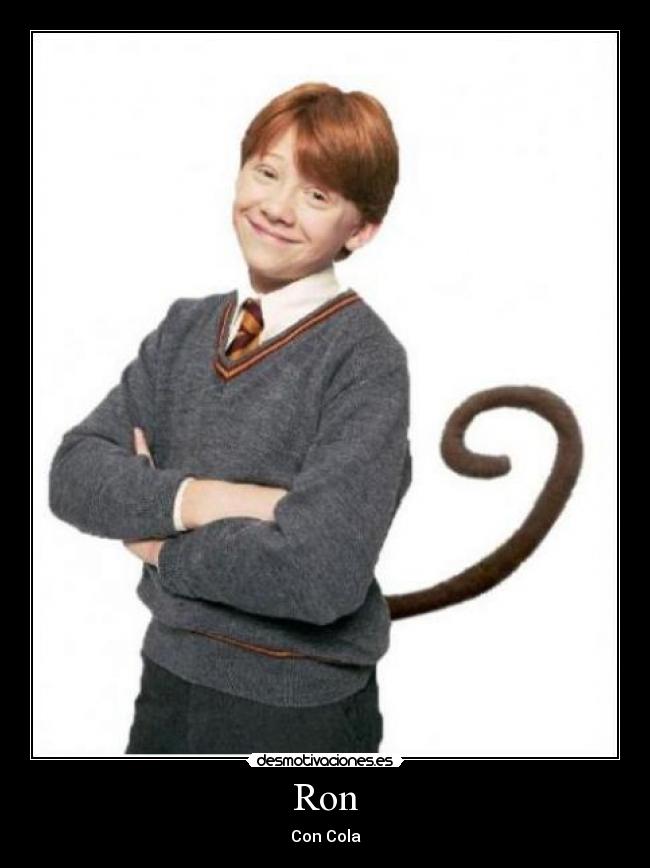 Ron -