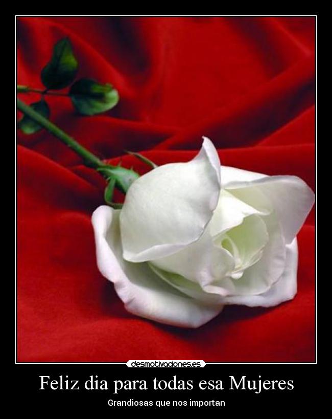 Feliz dia para todas esa Mujeres - Grandiosas que nos importan