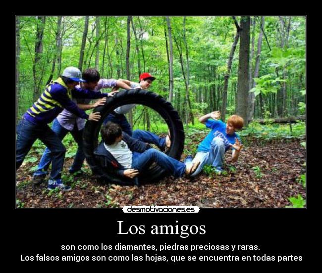 Los amigos - son como los diamantes, piedras preciosas y raras.
Los falsos amigos son como las hojas, que se encuentra en todas partes