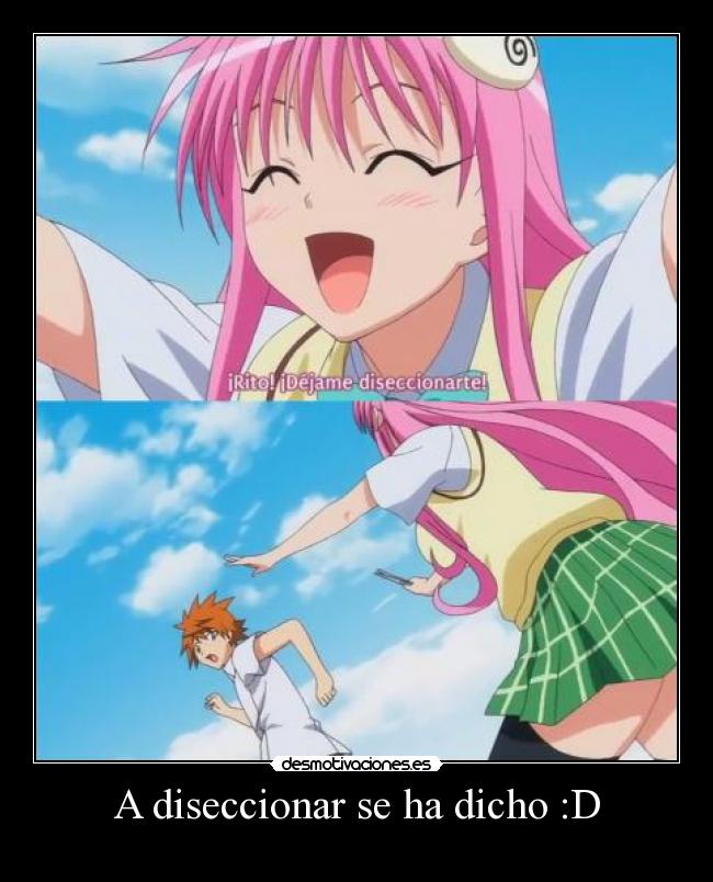 A diseccionar se ha dicho :D -