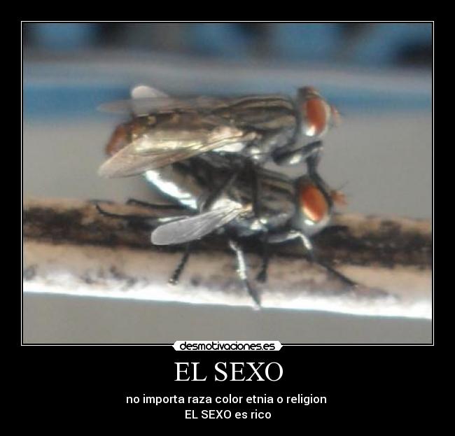 carteles sexo william frbs desmotivaciones