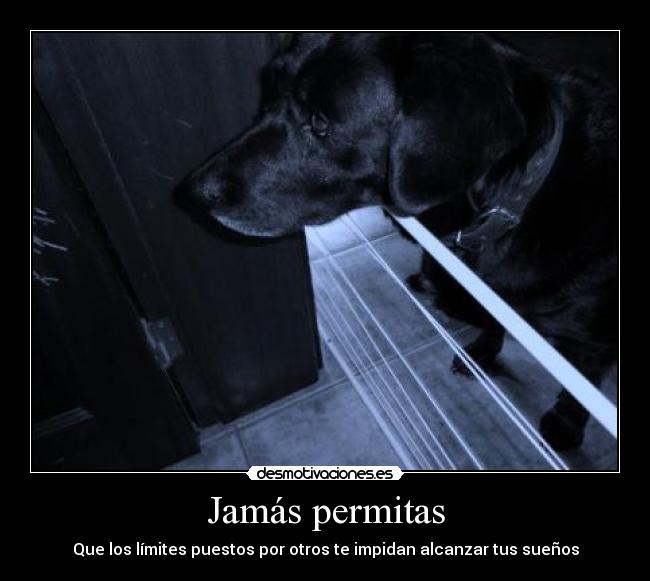 Jamás permitas - Que los límites puestos por otros te impidan alcanzar tus sueños