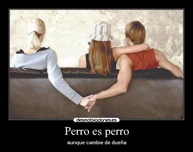 Perro es perro - aunque cambie de dueña