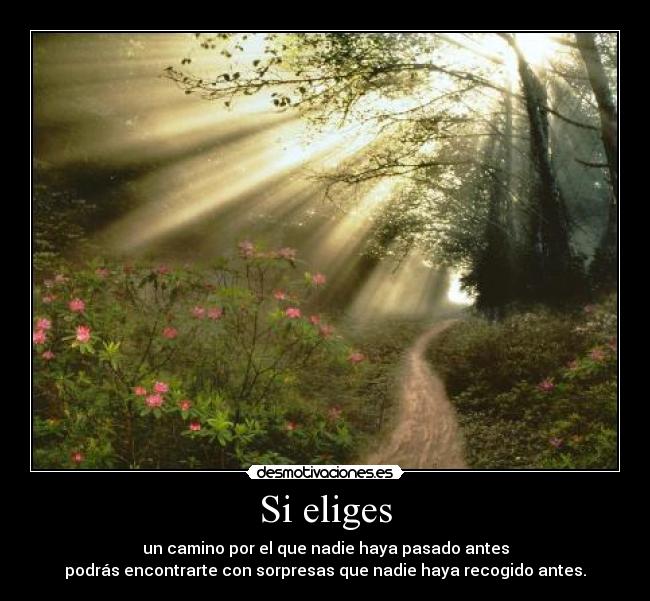 Si eliges - un camino por el que nadie haya pasado antes
podrás encontrarte con sorpresas que nadie haya recogido antes.