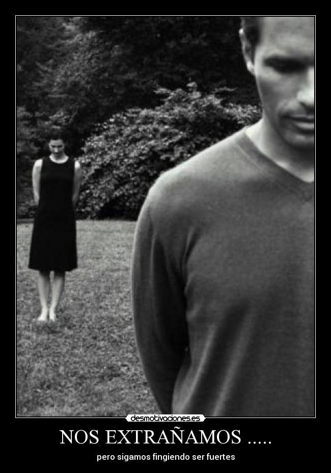 NOS EXTRAÑAMOS ..... -