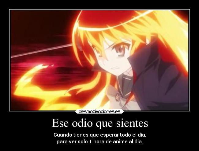 carteles odio shakugan shana odio anime desmotivaciones