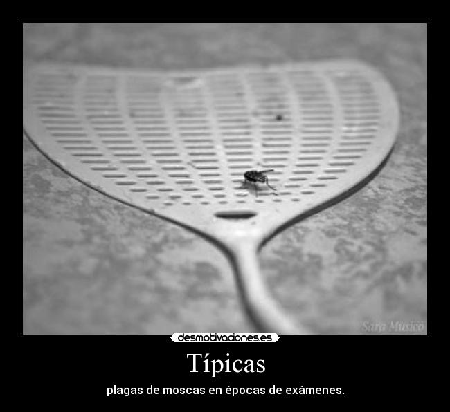 carteles para todos desmotivaciones