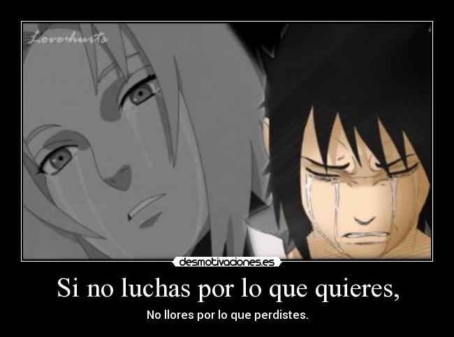 Si no luchas por lo que quieres, -