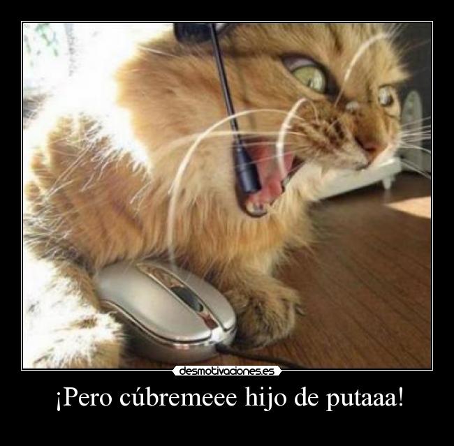 carteles taratatataatatta pum pum bang call duty desmotivaciones