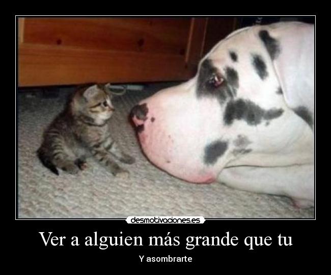 Ver a alguien más grande que tu - Y asombrarte