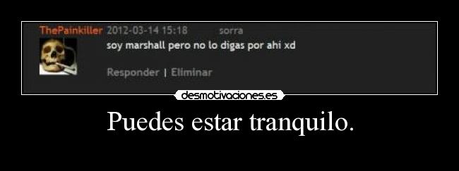 carteles laurahippy zorrasinflequillo quiere ser pelirroja pene marshallmatherspunto desmotivaciones