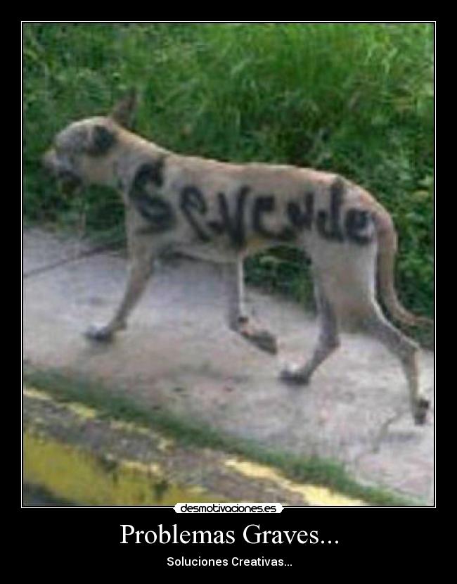 Problemas Graves... - Soluciones Creativas...