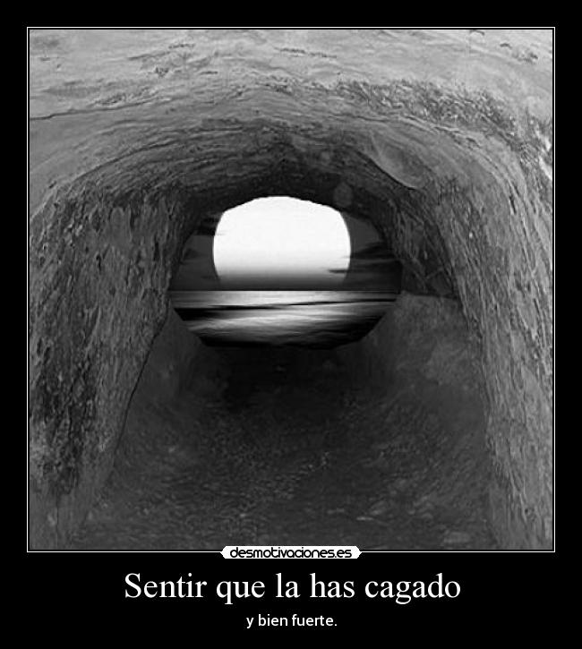 carteles cagarla que hecho desmotivaciones