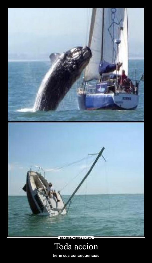 carteles accion reaccion desmotivaciones