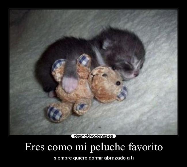 Eres como mi peluche favorito -