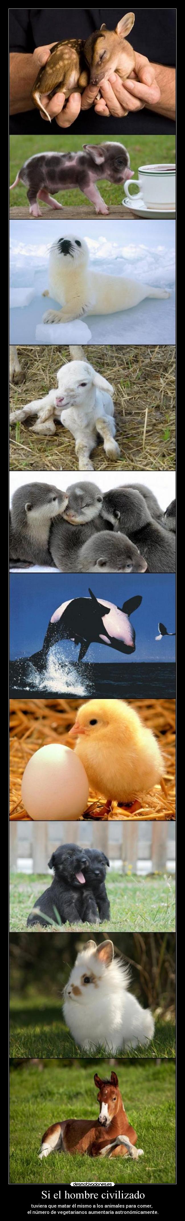 Si el hombre civilizado -