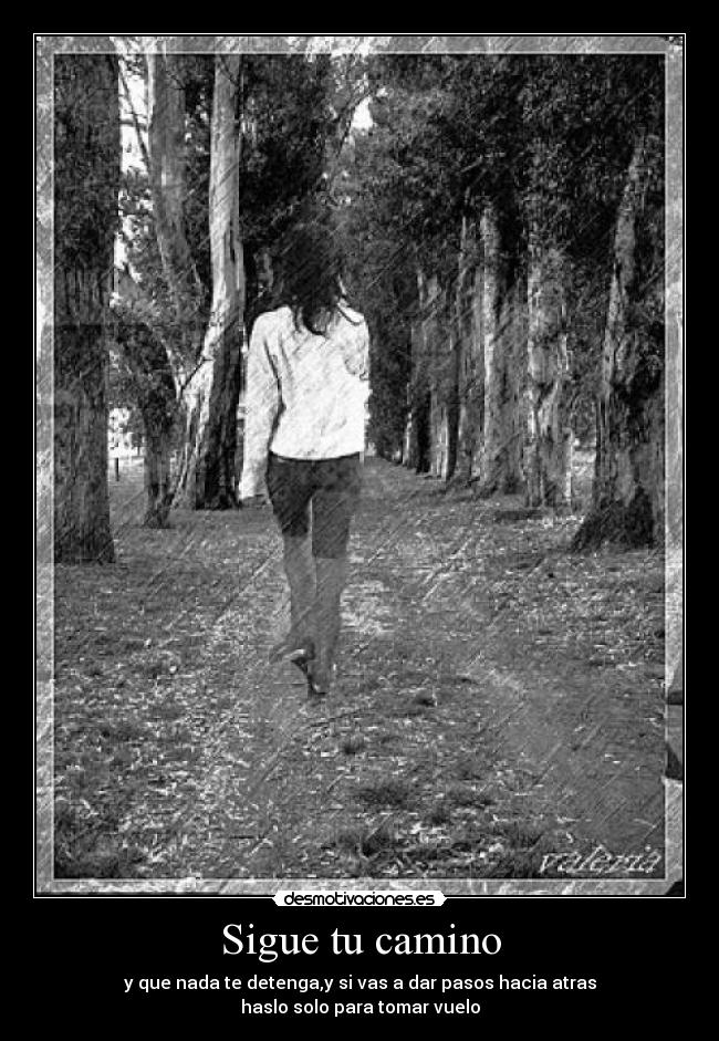Sigue tu camino -