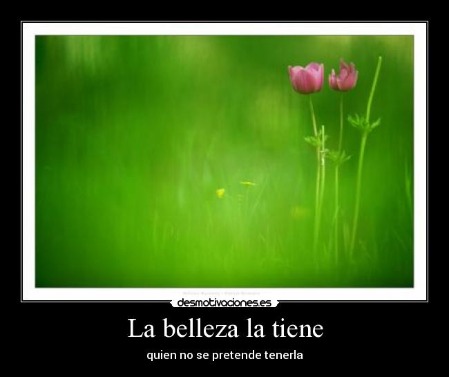 La belleza la tiene - quien no se pretende tenerla