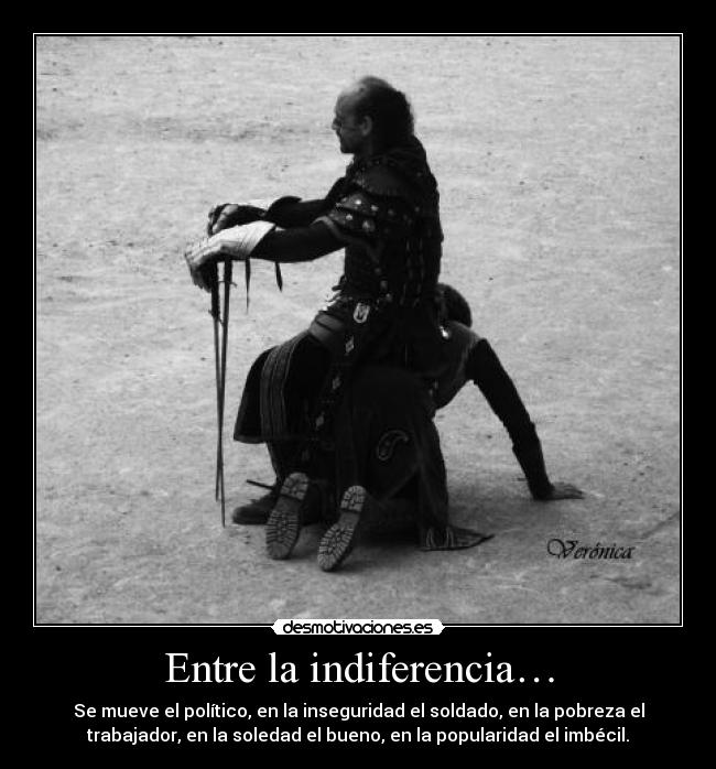 Entre la indiferencia… - 