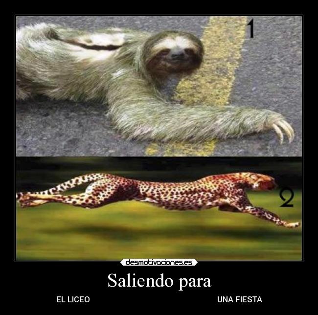 Saliendo para - EL LICEO UNA FIESTA