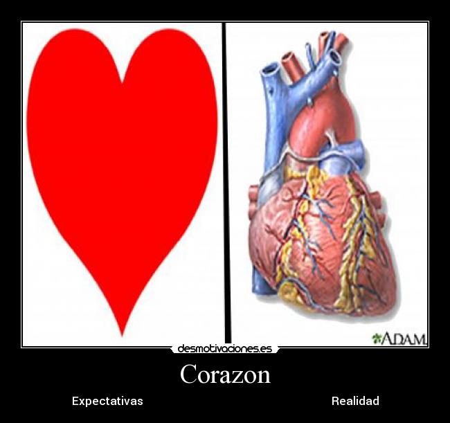 Corazon - Expectativas Realidad