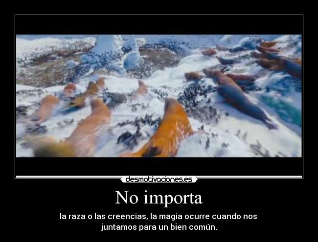 No importa - la raza o las creencias, la magia ocurre cuando nos 
juntamos para un bien común.