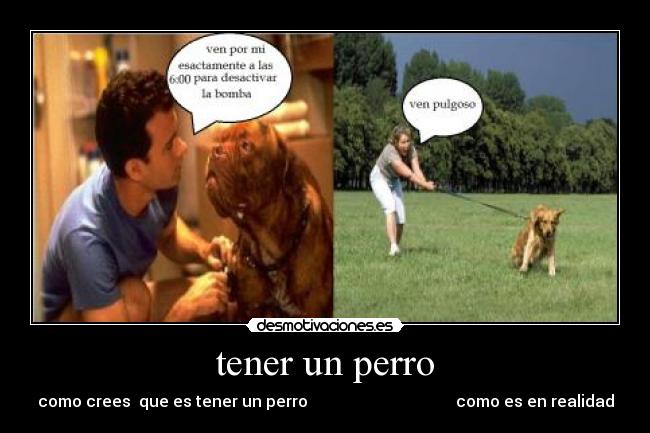 tener un perro -