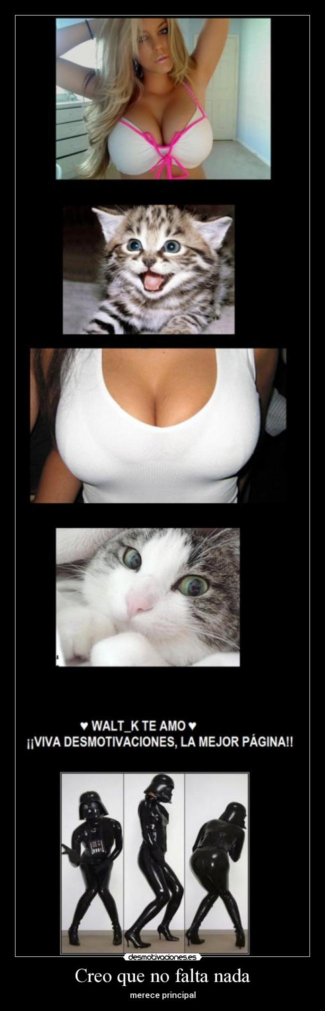 carteles tetas gatos mas tetas gatos mas seduccion darth formula perfecta desmotivaciones