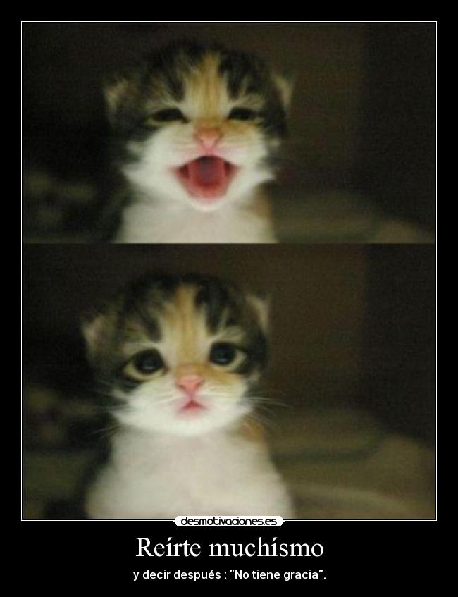 Reírte muchísmo -