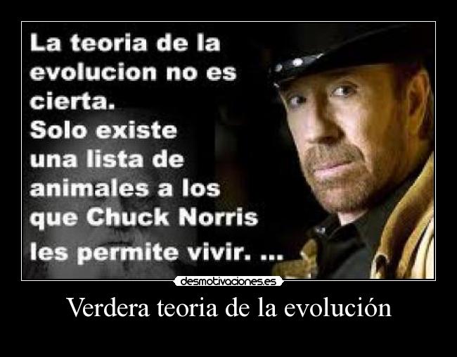 carteles teoria evolucion desmotivaciones