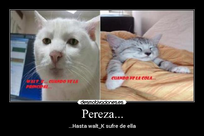 carteles walt pereza aburrido cola principal desmotivaciones