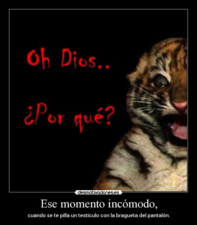 carteles tigretoneh clantigretoneh desollao desmotivaciones