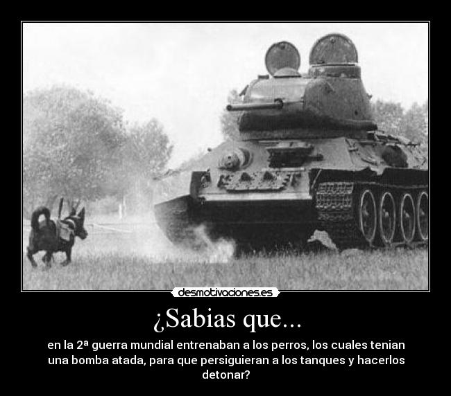 ¿Sabias que... -