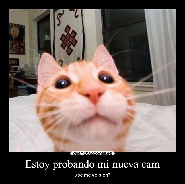 Estoy probando mi nueva cam -